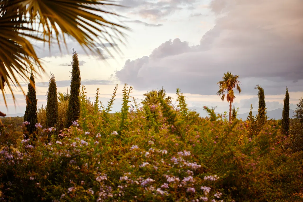 Luxury Finca Sonrisa Mallorca with Panoramic Views, Randa – view 32