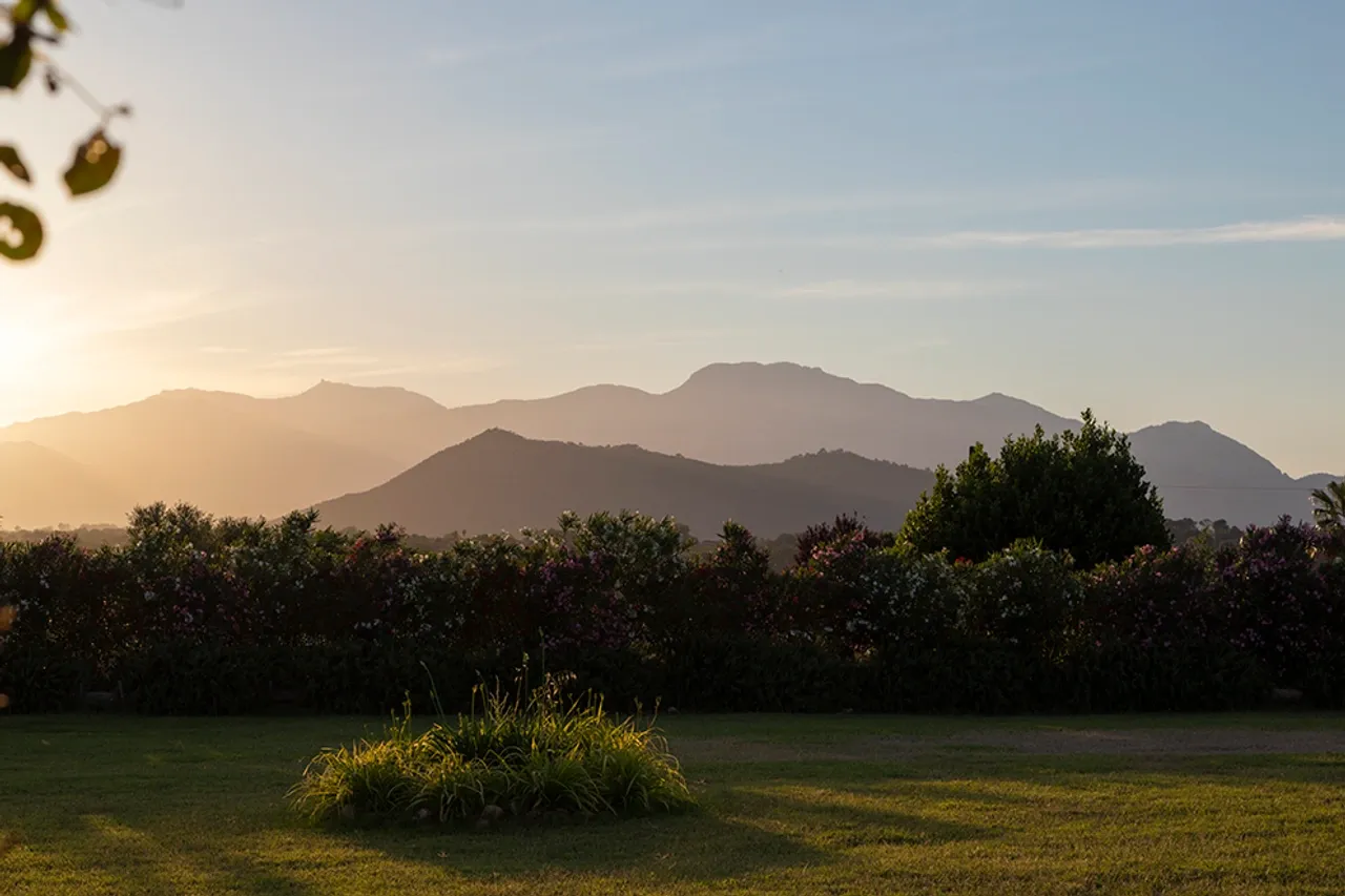 Finca Only Summer, Llubí – view 30