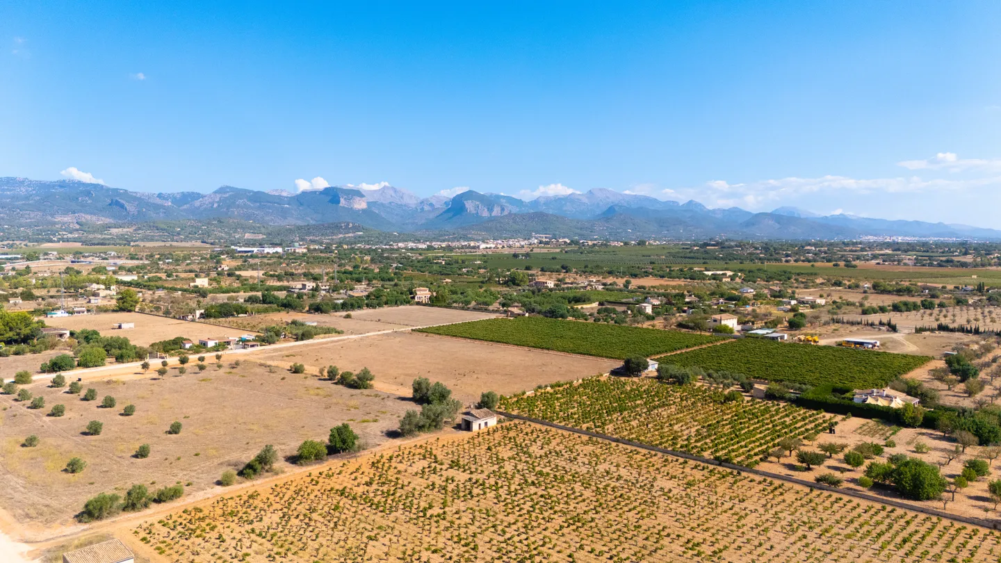 Finca Fogoneu, Santa Maria Del Camí – view 33