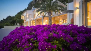 Farbenfrohe Blumen und Palmen umgeben die Villa.
